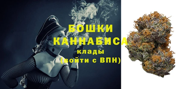 PSILOCYBIN Волоколамск